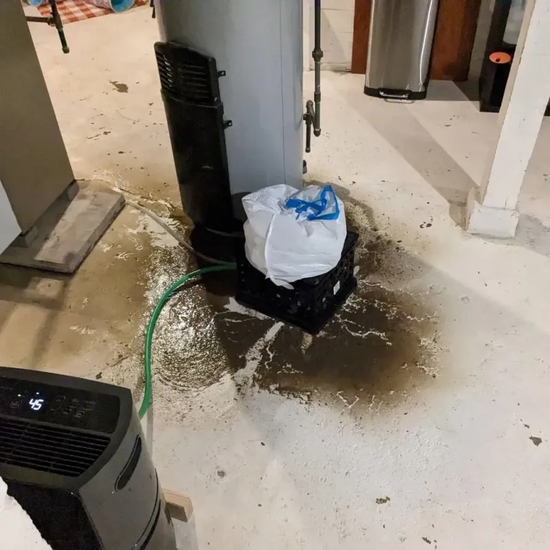Sewage Backup Cleanup Service in Swampscott, MA